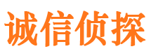 带岭市侦探调查公司